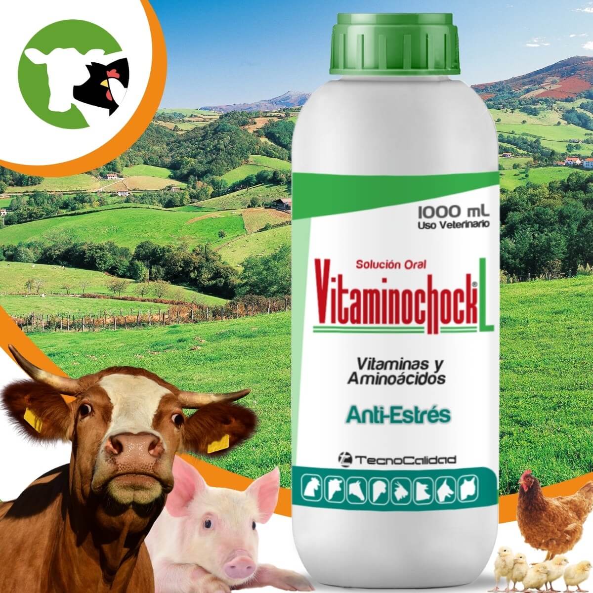 vitaminochock