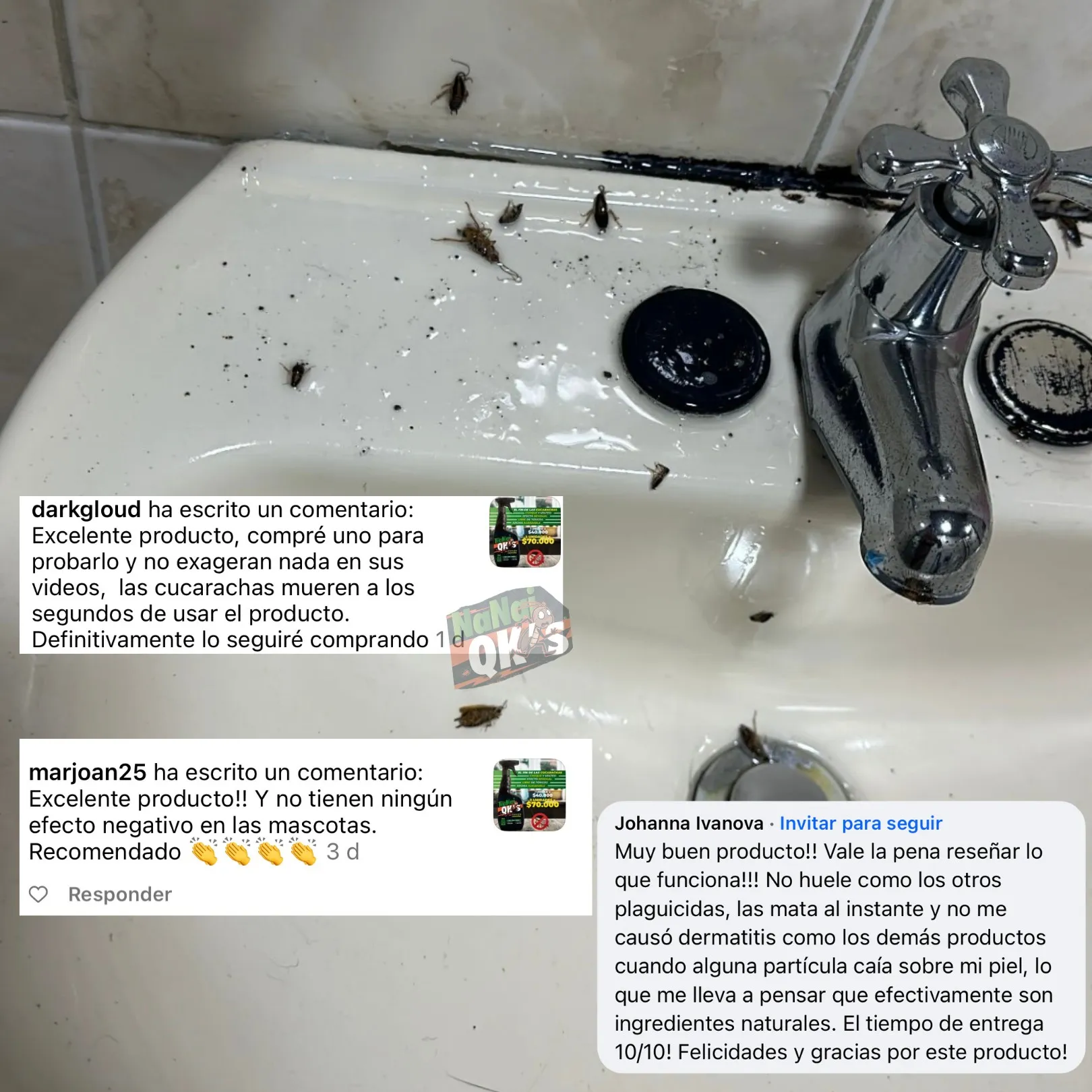 114.jpg
