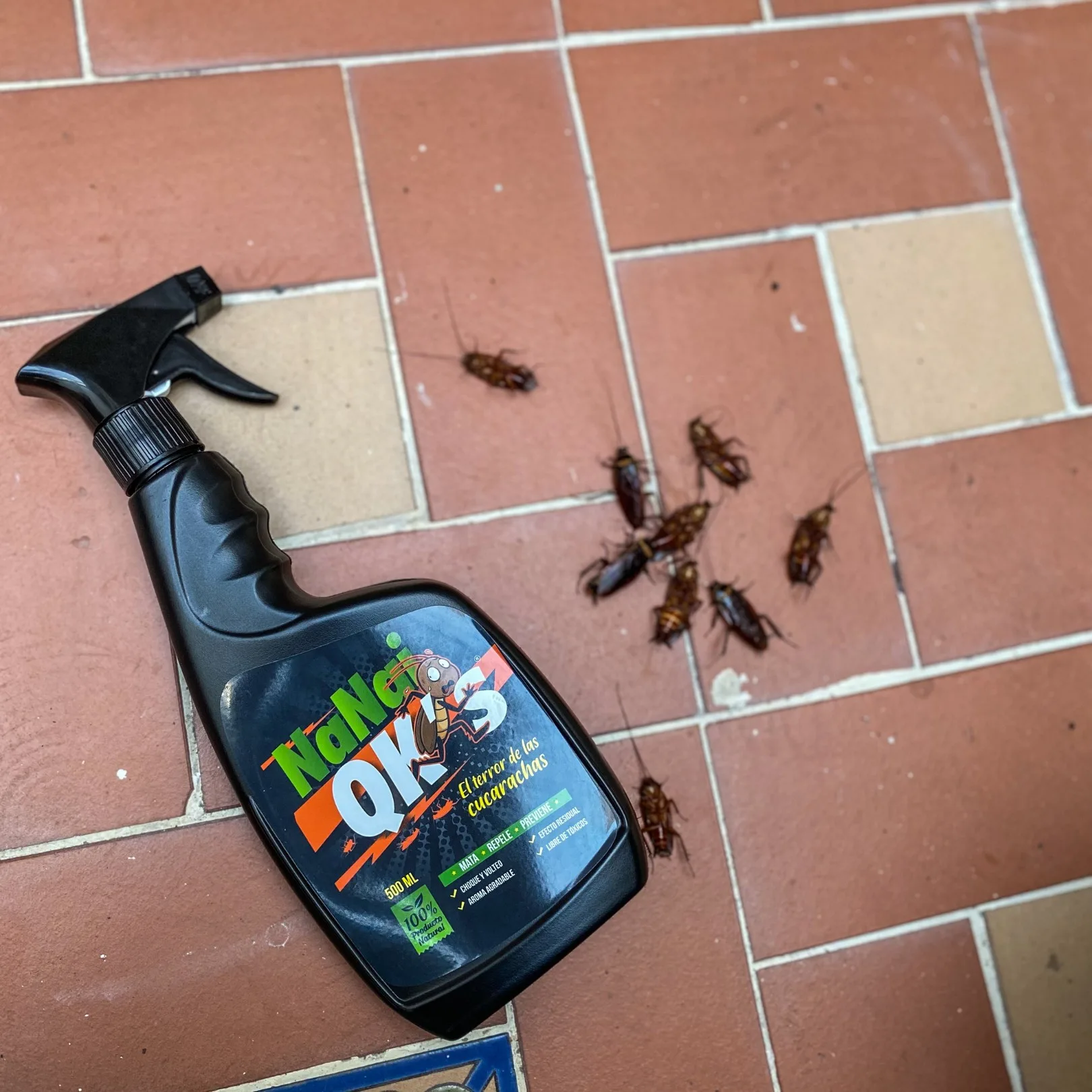 Insecticida para cucarachas natural.jpg